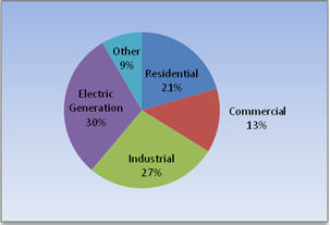 consumption by end 2010