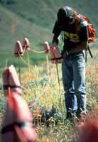 Placing Geophones Source: API